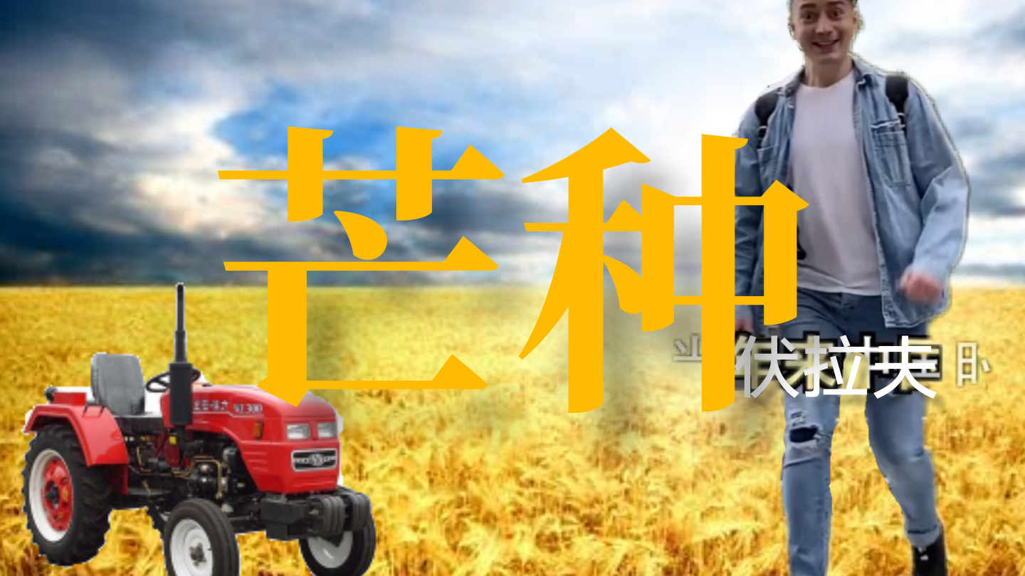 【伏拉夫】芒种